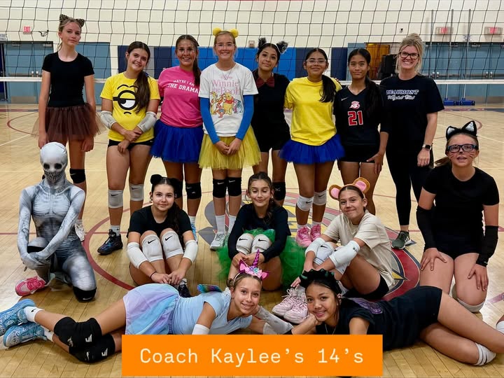 Operations and offices of PROGRESSION VENTURES GROUP LTD